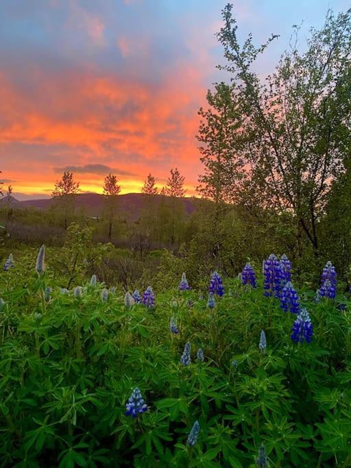 Luxury Cottage Located In The Golden Circle, Mountain View! Laugarvatn Exterior photo